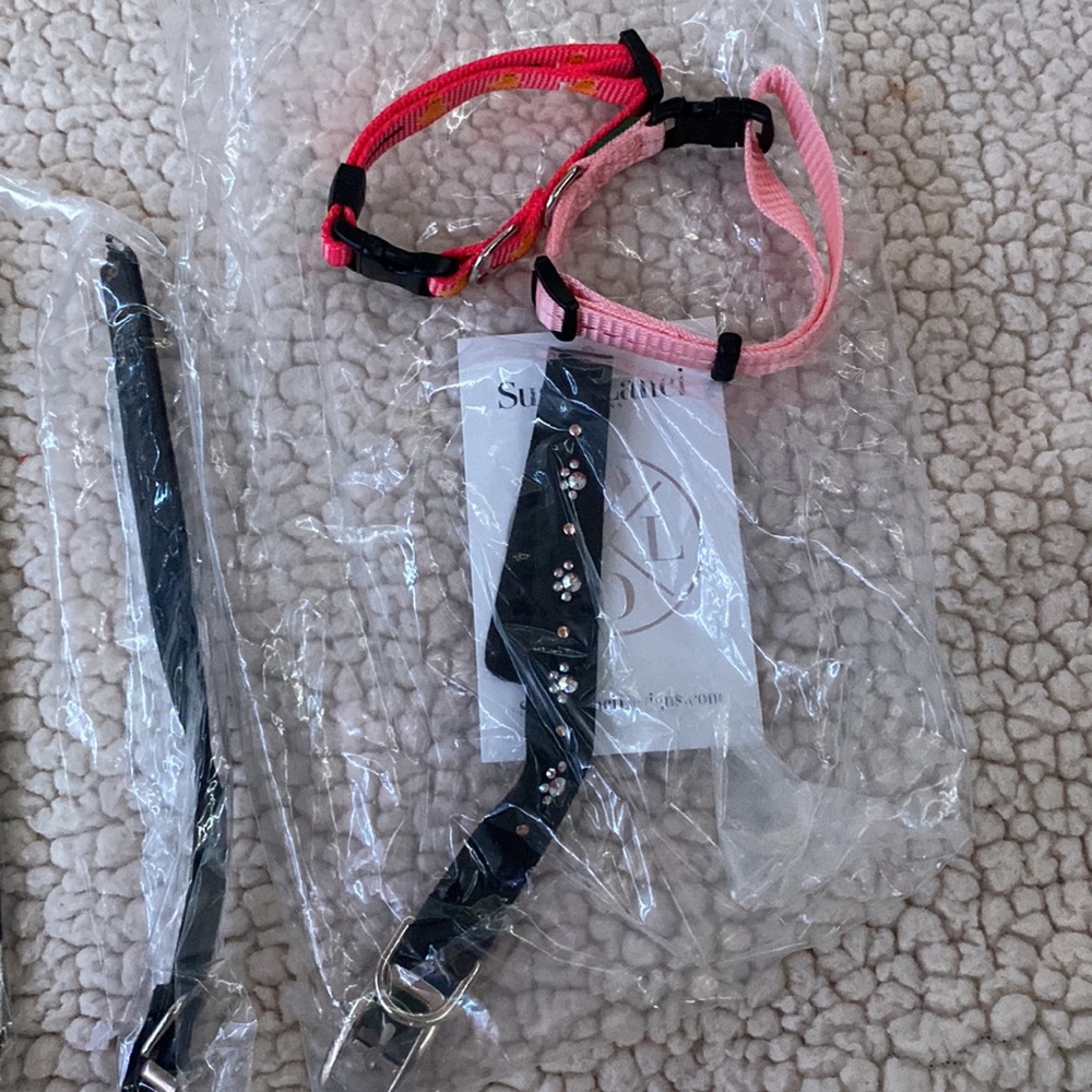 Dog collars - Picture 5 of 9